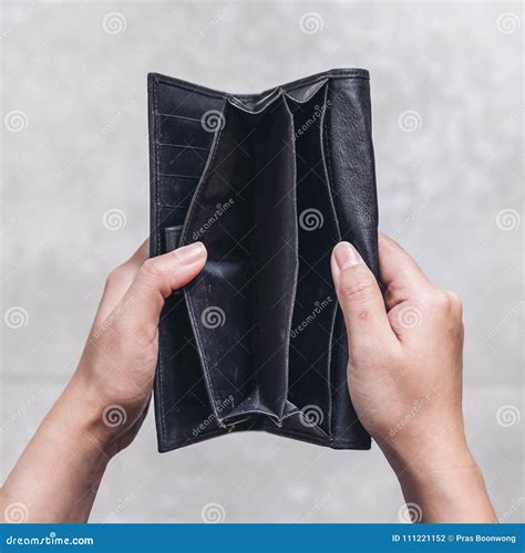 Wallet, Floor Price, Fiat
